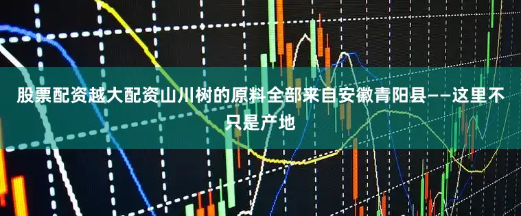 股票配资越大配资山川树的原料全部来自安徽青阳县——这里不只是产地