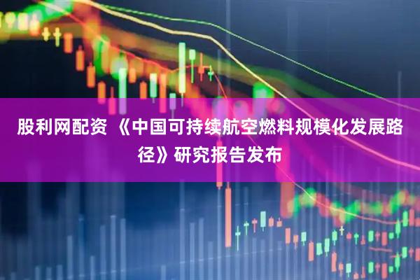股利网配资 《中国可持续航空燃料规模化发展路径》研究报告发布