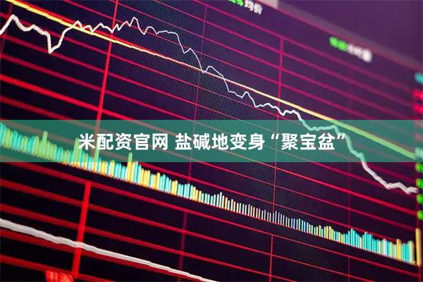 米配资官网 盐碱地变身“聚宝盆”