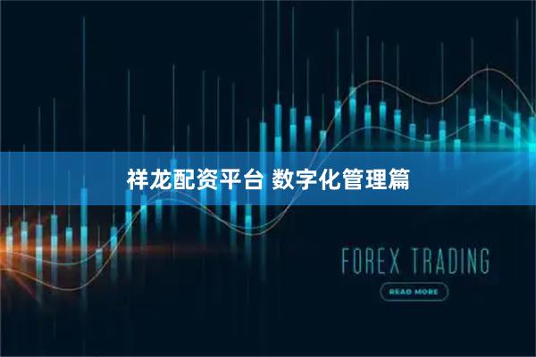 祥龙配资平台 数字化管理篇